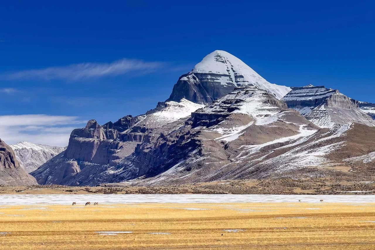 2025011515331736926429538036532.jpg 2025011515331736926429538036532.jpg