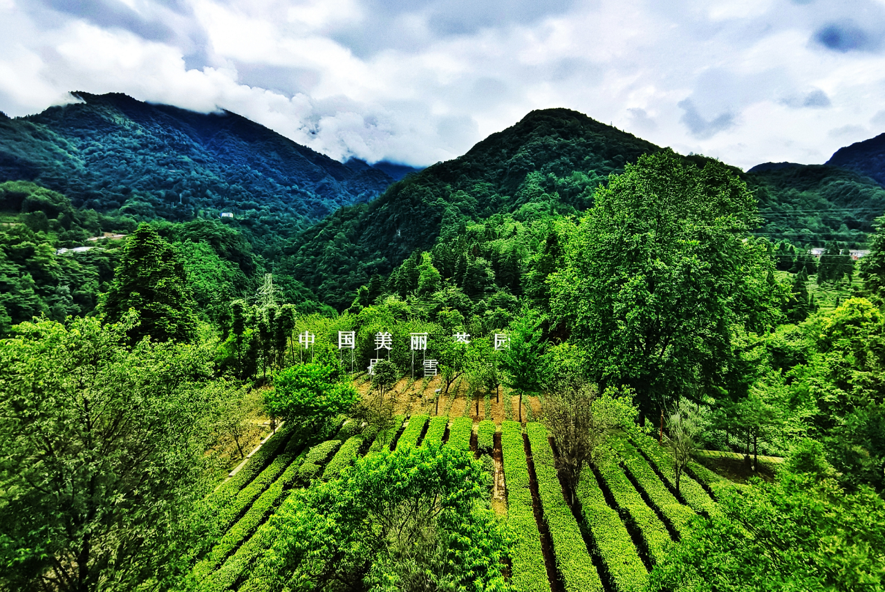 2025080616171754468252374017689.png 2025080616171754468252374017689.png