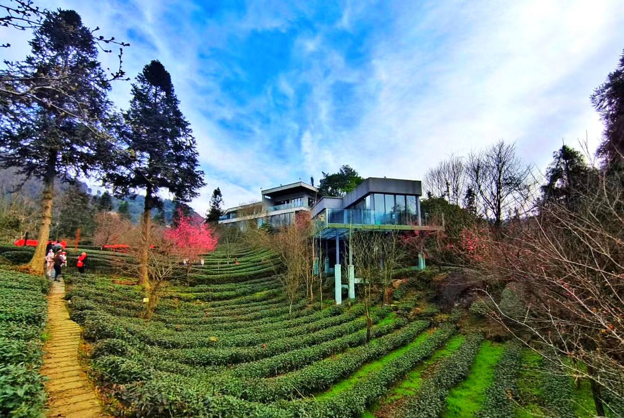 2025080616191754468367674014462.png 2025080616191754468367674014462.png