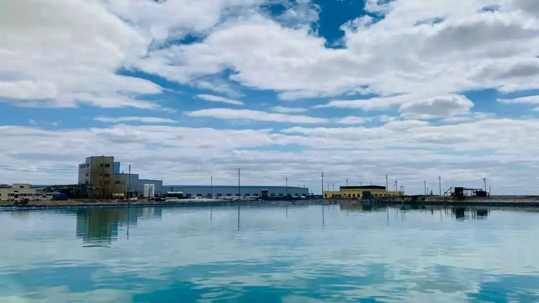 2025110614471762411620379010251.jpg 2025110614471762411620379010251.jpg