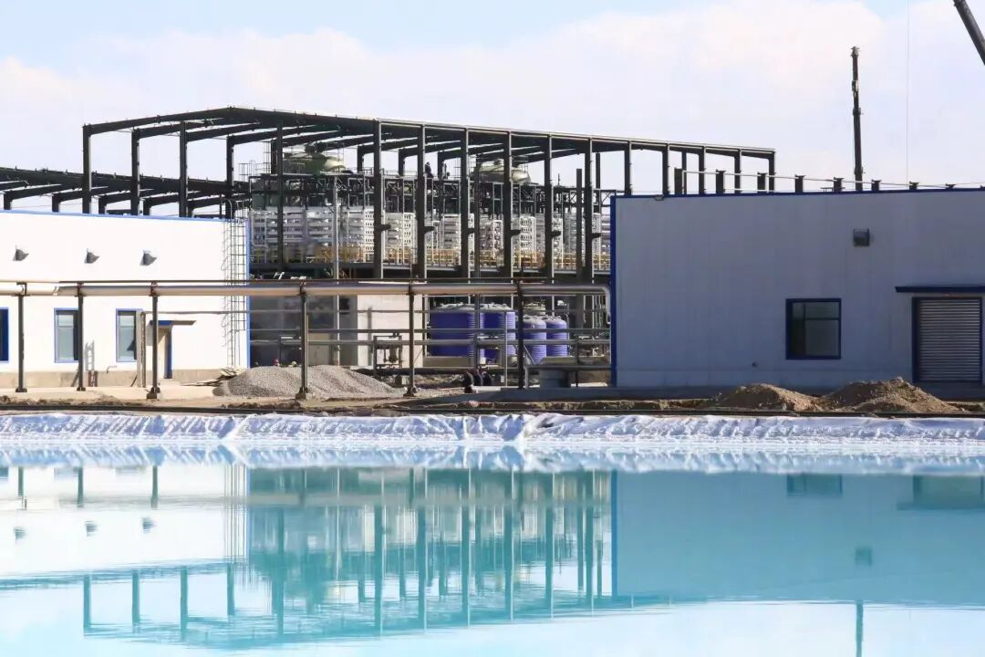 2025110614471762411644868022240.jpg 2025110614471762411644868022240.jpg